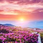 Profile Picture of Karin James (@karinaajames) on Instagram