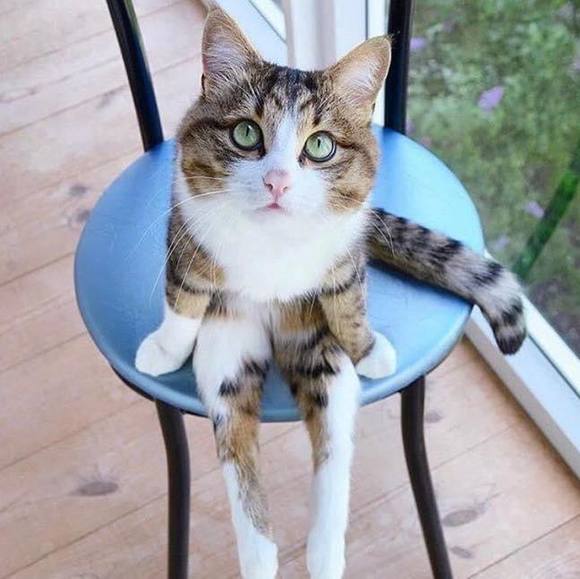 Claudio Rivera - Poshmark Profile Picture of Claudio Rivera (@claudio_rleon) on Poshmark