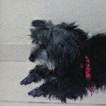 Profile Picture of janet (@janetbarbieri10) on Instagram