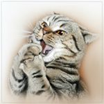 Profile Picture of Dupuy (@dupuyraybournedp) on Instagram