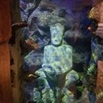 Profile Picture of Ralph Perkins (@pchoice.627) on Instagram