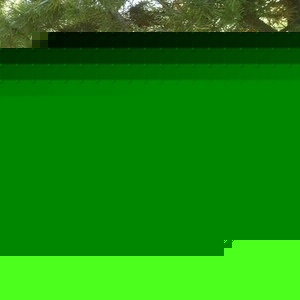 Profile Picture of Jillian Lee Grimm (@385068111) on Myspace