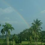 Adeline Chew - Instagram Profile Picture of Adeline Chew (@adelinechew2007) on Instagram