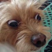 Profile Picture of J.T. Wilson (@j.t.wilson6301) on Youtube