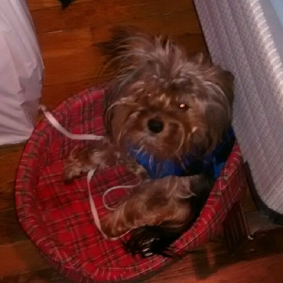 Profile Picture of Tammy Foster (@angelsmile7) on Poshmark