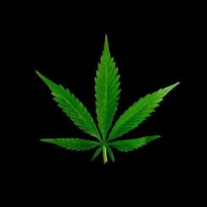 Profile Picture of Mark Moreno (@147988462) on Myspace