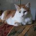Profile Picture of David Lecroy (@david.lecroy.940) on Facebook