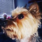 Profile Picture of Ms. Faye (@the_life_of_faye_marks) on Instagram