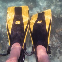 Profile Picture of Robert Levy (@robert-levy-20) on Quora