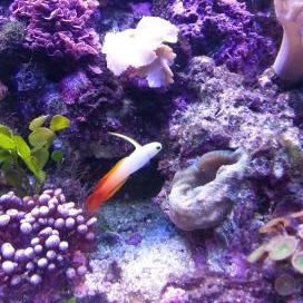 Profile Picture of Debbie Summers (@debrvn08) on Twitter