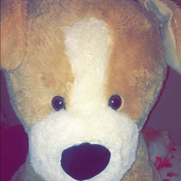 Profile Picture of Daniela Alonso (@danyyalonsoo) on Poshmark