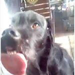 Profile Picture of Tiny Thompson (@tinynotoes) on Instagram