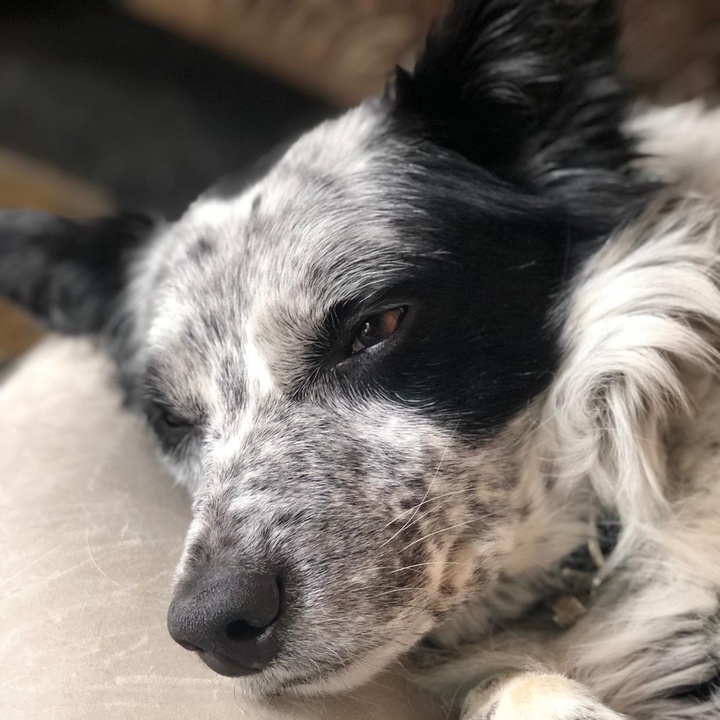 Profile Picture of Sacha Freeman (@@sachafreeman0) on Tiktok