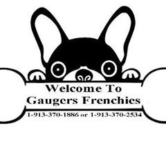 Profile Picture of Scott Heather Gauger (@scottheathergauge) on Tiktok