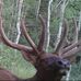 Profile Picture of Brock Hoffman (@brock.hoffman.796) on Facebook