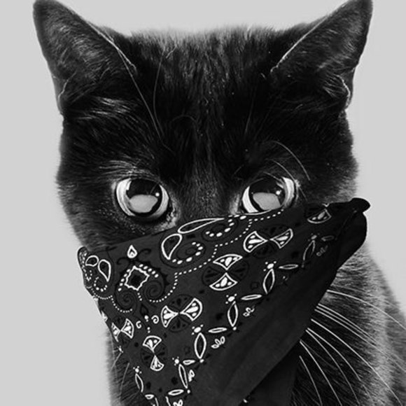 Profile Picture of Erin Tobin (@jinxanna) on Poshmark