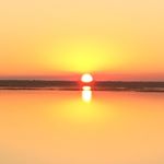 Profile Picture of Joëlle Duchesne (@sooduchesne) on Instagram