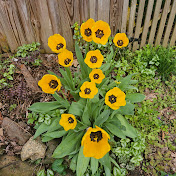 Profile Picture of Vincent Day (@vincentday1525) on Youtube