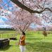 Profile Picture of Chandy Lim (@chandy.lim.1) on Facebook