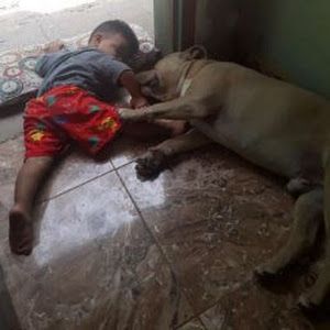 Profile Picture of lucianoaa (@lucianoalarcon079) on Tiktok