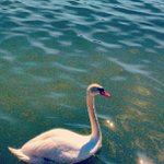 Profile Picture of Lawrence Perez (@perez874us) on Instagram