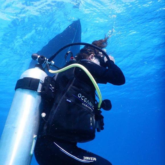 Profile Picture of Darcie Wonacott (@darciewonacott) on Poshmark