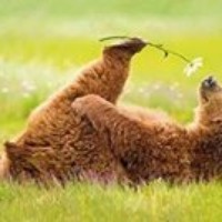 Profile Picture of Bel Runningwolf (@bel-runningwolf) on Quora