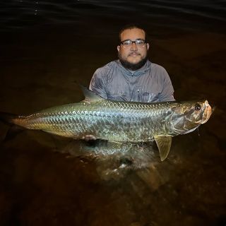 Profile Picture of Derek Perez (@derekperezzz) on Instagram