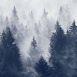 Profile Picture of Leonie (@leonie.baumann04) on Instagram