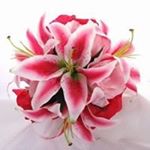 Profile Picture of Julia Garcia Bailon (@juliagarciabailon) on Instagram