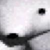 Profile Picture of Philbert (@philbertphilbert) on Tiktok
