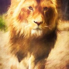 Profile Picture of Paulo Jorge Marques Da Rocha (@PauloJo31928968) on Twitter