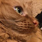 Profile Picture of Matthew Durocher (@matthewjdurocher) on Instagram
