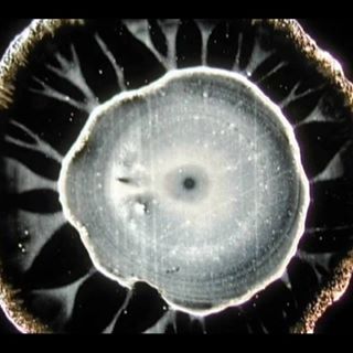 Profile Picture of Jaime Coppel (@jaime.fernandezcoppel) on Facebook