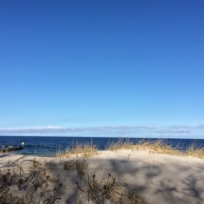 Profile Picture of Marc Thiele (@MarcBERgerman) on Twitter