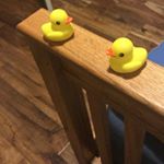 Profile Picture of Tyler Duckworth (@tylerrduckworth) on Instagram