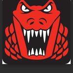 Profile Picture of Kevin Minton (@gatorkevinm) on Instagram