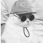 Profile Picture of Peach (@chris_peachey_) on Instagram
