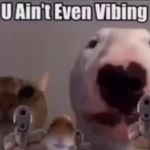 Profile Picture of skeeter loid (@skeeterloid) on Instagram