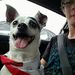 Profile Picture of Devin Keith (@devkeith93) on Pinterest