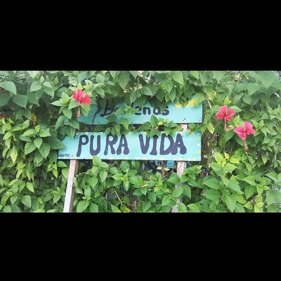 Profile Picture of Daniel Alcantara (@daniel_alct) on Twitter