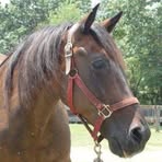 Profile Picture of Janet Altizer (@janet.altizer.58) on Facebook