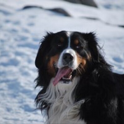Profile Picture of Marc Horta (@marc_horta) on Twitter