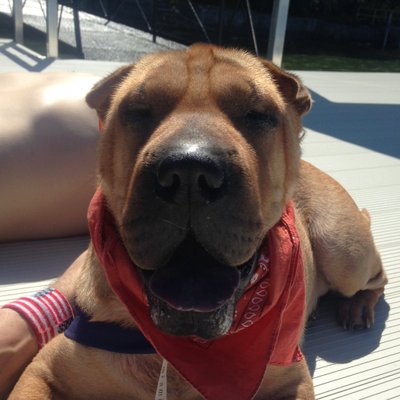 Profile Picture of Chris Newsom (@ctnewsom) on Twitter