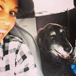 Profile Picture of Cindy Jester (@the_repurposed_coop) on Instagram