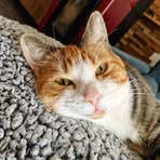 Profile Picture of Jeanne Geraldes (@Jeanne-Geraldes) on Facebook