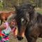 Profile Picture of Asta Weertman (@asta.weertman) on Facebook