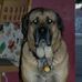 Profile Picture of Steve Ebbens (@steve.ebbens.7) on Facebook
