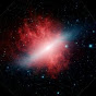 Profile Picture of institute4rs (@@institute4rs) on Tiktok