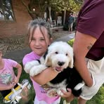 Profile Picture of Glenn Himilton Moris (@Glenn-Himilton-Moris) on Facebook